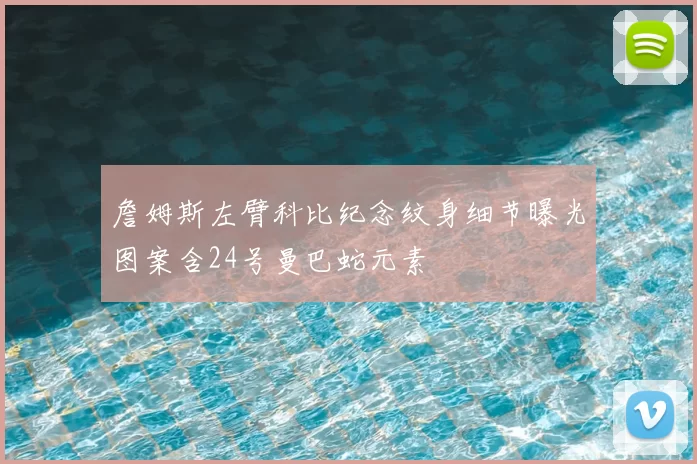 詹姆斯左臂科比纪念纹身细节曝光图案含24号曼巴蛇元素